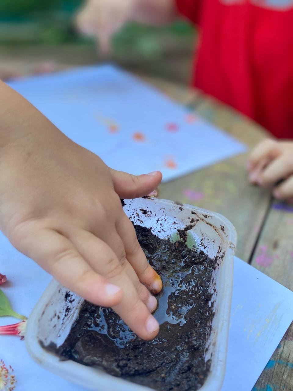 Criança plantando uma muda na horta da Janelinha